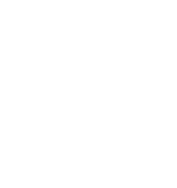 Mission Icon