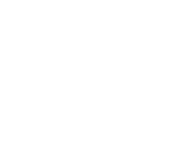 Vision Icon