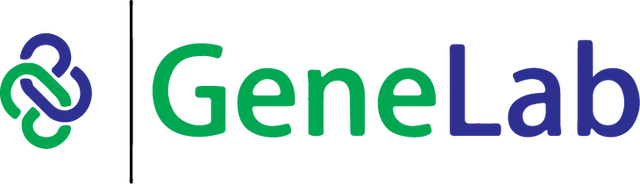 Logo 12